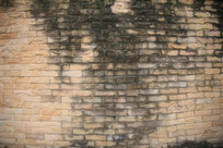 ��ʯש����ǽ