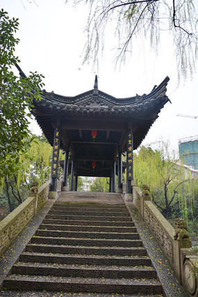 ������ͤ