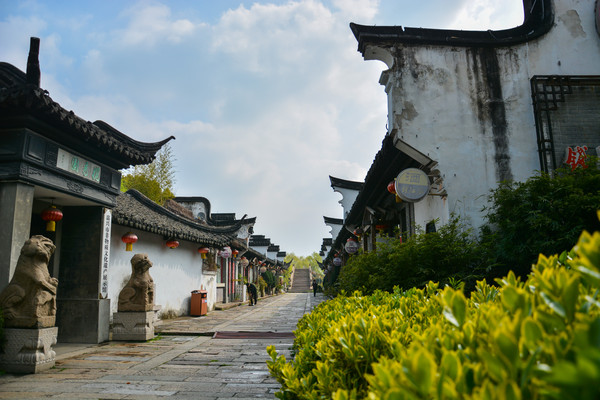 �����Ϻ�