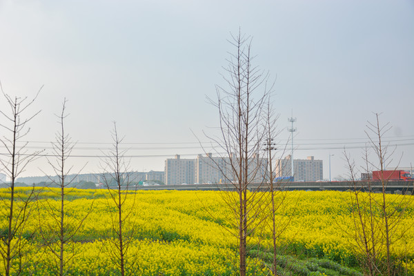 ·�ߵ��Ͳ˻�