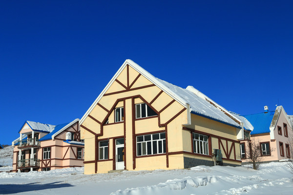 ŷʽ����ѩ��