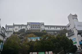 ���ݲ����