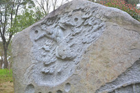 ����˴�۹�������