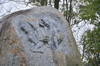 ����˴�۹����ھ�