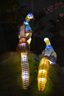 �����ʵ�ģ��