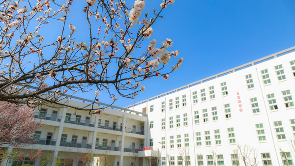 �����µĽ�ѧ¥