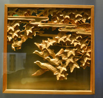 ľ���οյ���