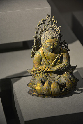 ����ͭ�̶�ĸ����