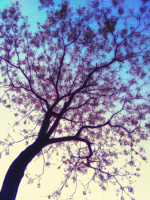 ����һ����