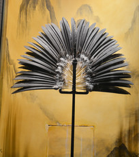 ��ë����