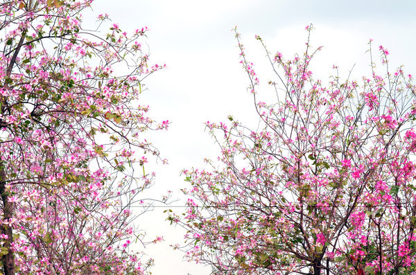 ���õ��Ͼ���