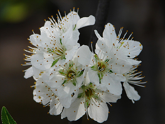 ����������