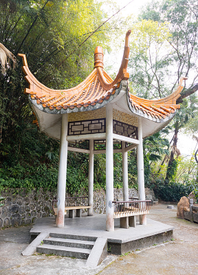 ������ͤ��