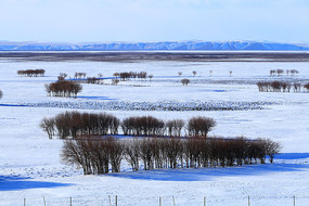 ѩҰ����ѩ��