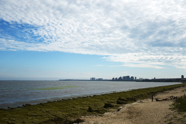 ���º�����