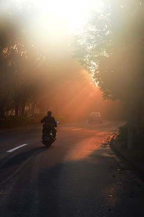 �����еĵ�·