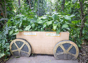 ����԰�ջ���