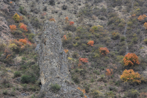 ����ɽ��