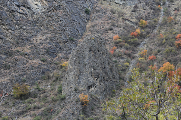 ����ɽ��