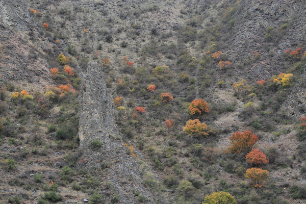 ����ɽ��