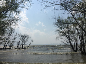 ��ذ������ַ���ֻ���Ӱ 