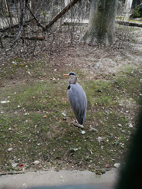 �𼦶���֮�¶���