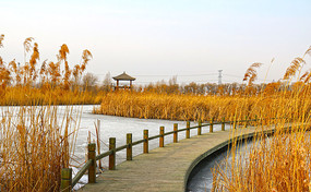 «έľ����ͤ