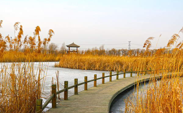 ������ʪ�ط��