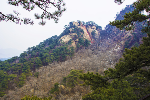 ǧɽ��ɴ���봺���ɽ��