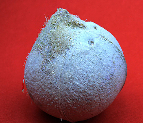 ˮ��ͼƬҬ��