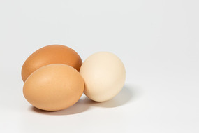 ��ɫ�����µļ���