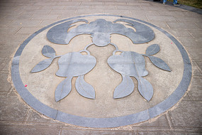 �����ϵĻ�����