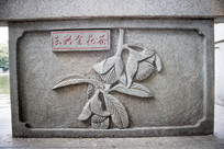 ���˽𻨲�ʯ��