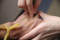 ��������