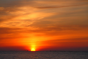 �����ճ�