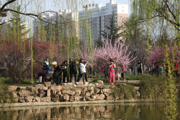 ���յ���Ӱʦ