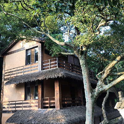 ��ʽé�ݾƵ�