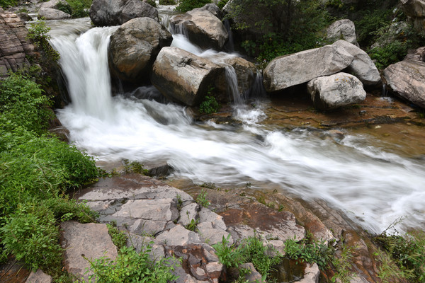 ����С��