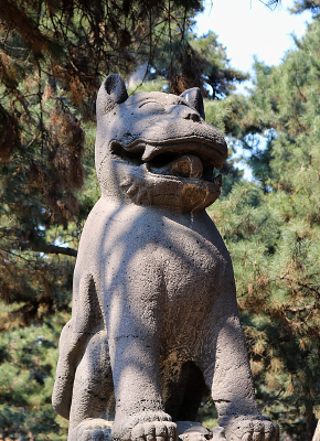 ʯ������