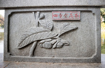 �ļ��𻨲�ʯ��