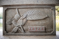 �����𻨲�ʯ��