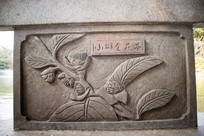 С��𻨲�ʯ��