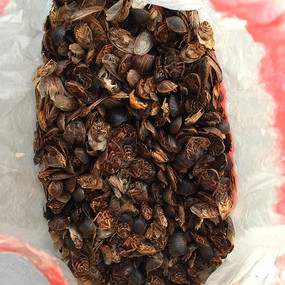 ҩ������ɳ�