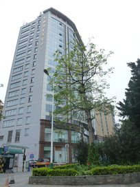 һ������