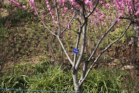 һ������