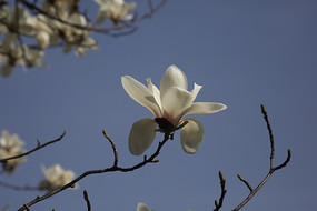 һ��������