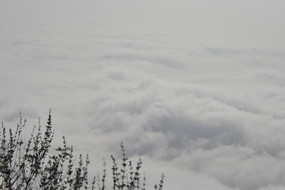 �ƺ�����