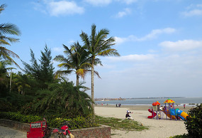 �����Ĳ���������