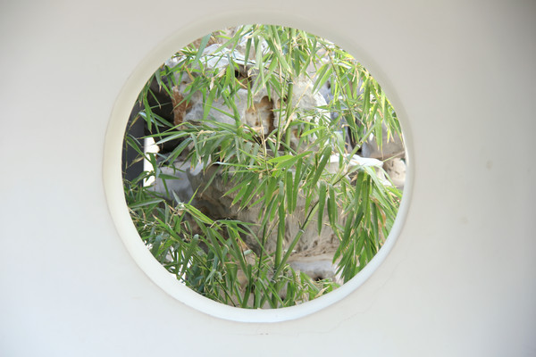 ������ɽ