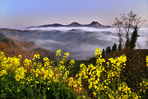 ���Ż����Ͳ�